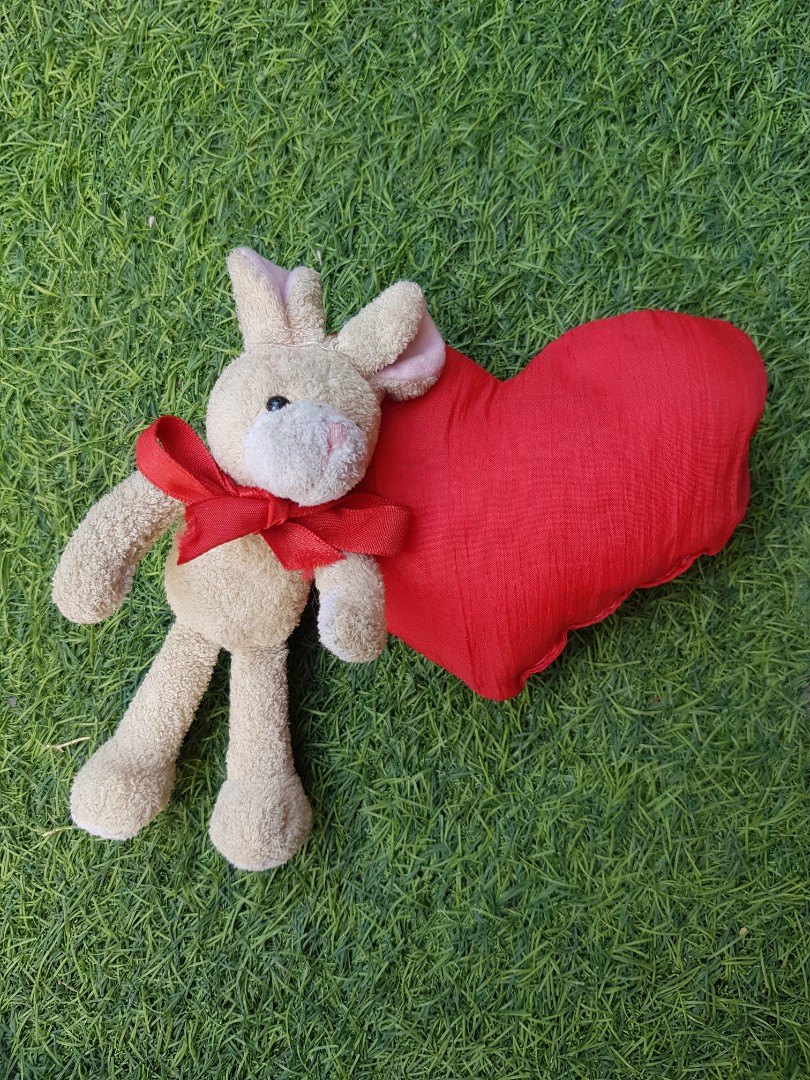 Bratz + Mini Stuffed Rabbit Set, Hobbies & Toys, Toys & Games on Carousell