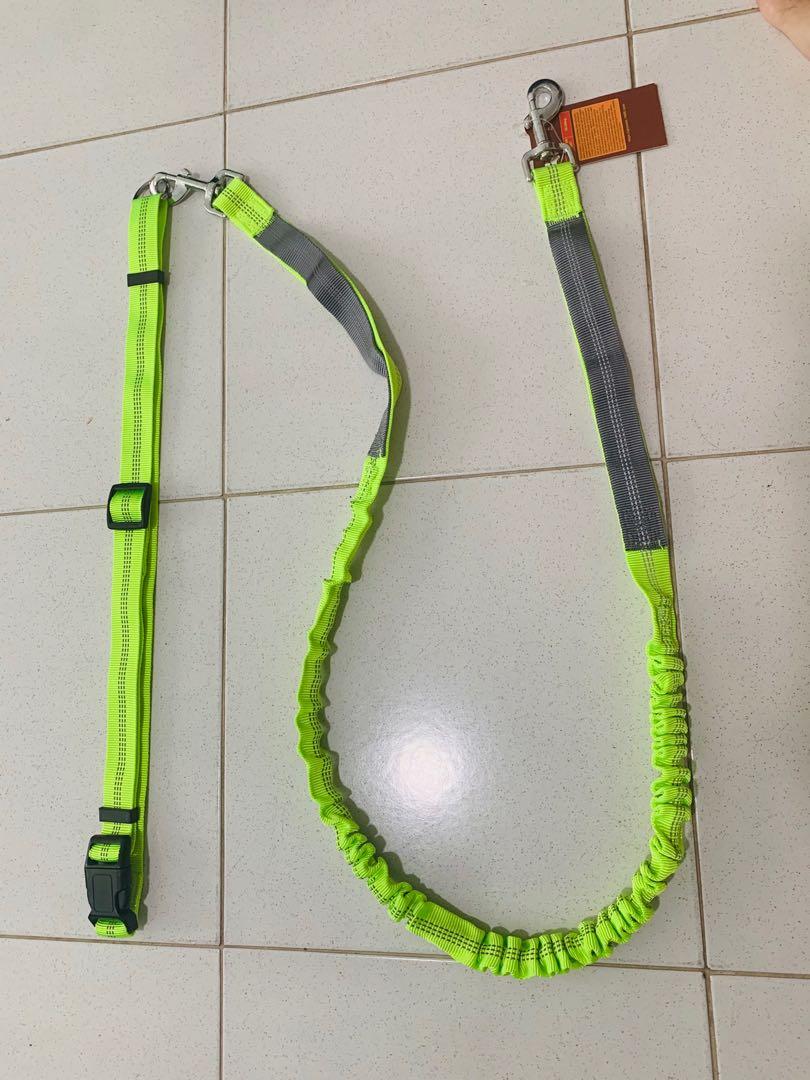 stretchable dog leash
