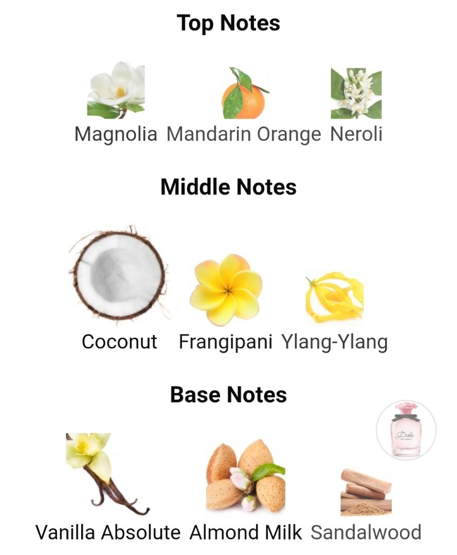 Dolce garden notes 2025