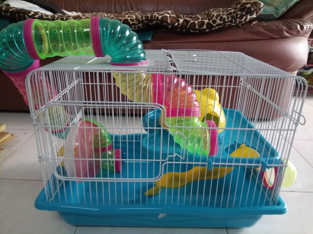 Preloved discount pets birds