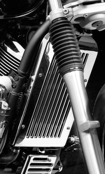 Honda shadow 750 radiator cover hotsell