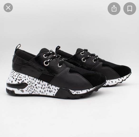 steve madden trainers cliff