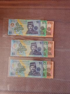 Banknotes and Coins  Collection item 2