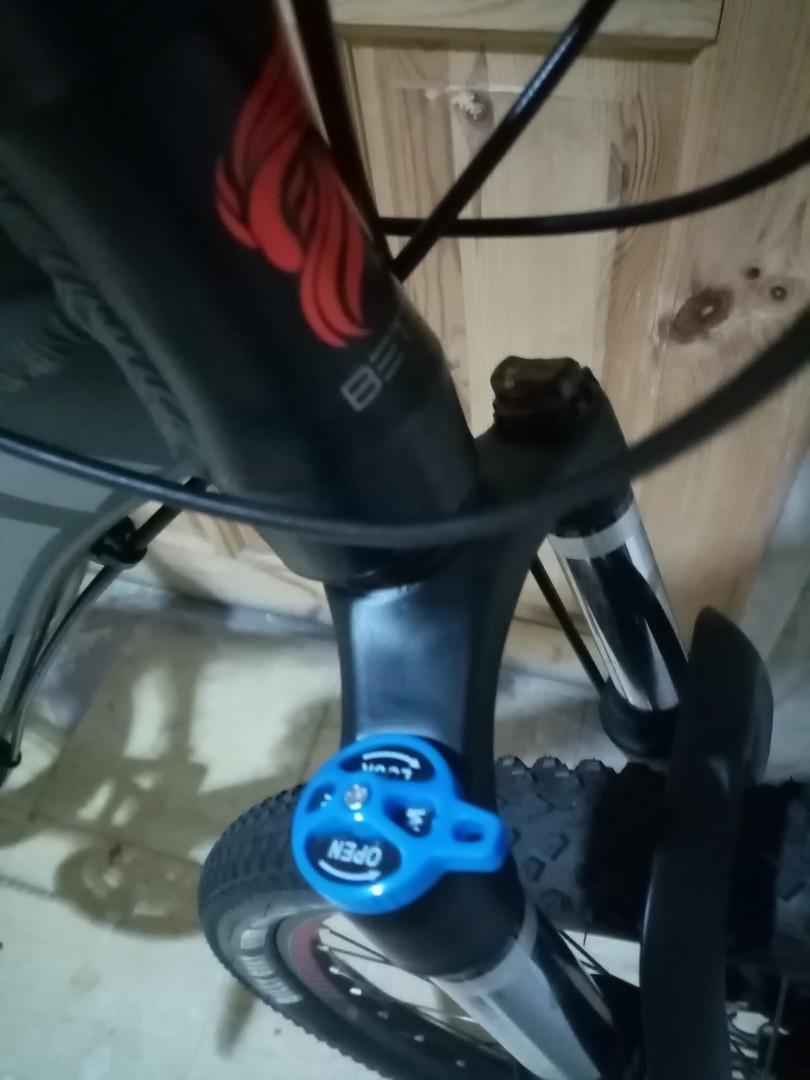 betta dumbo tail 29er