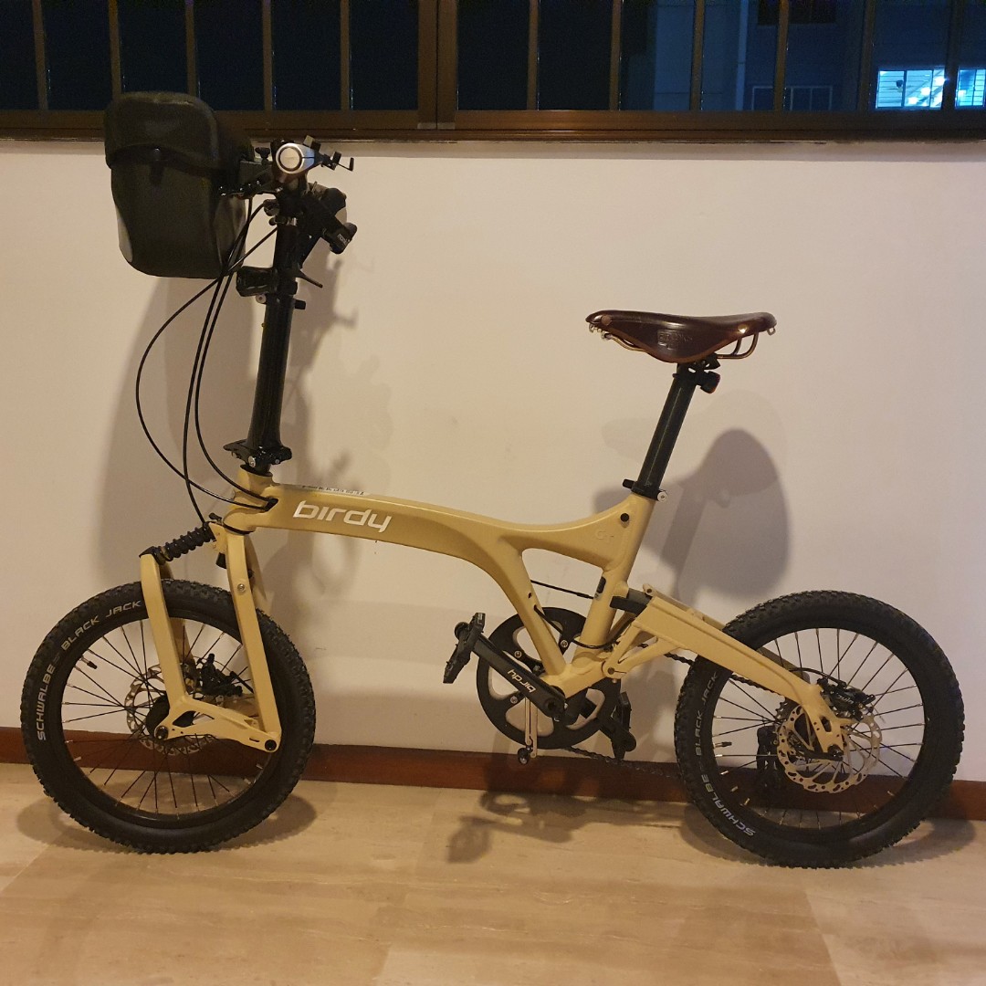 birdy gt bike review