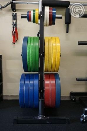 Rep bar and bumper plate tree top