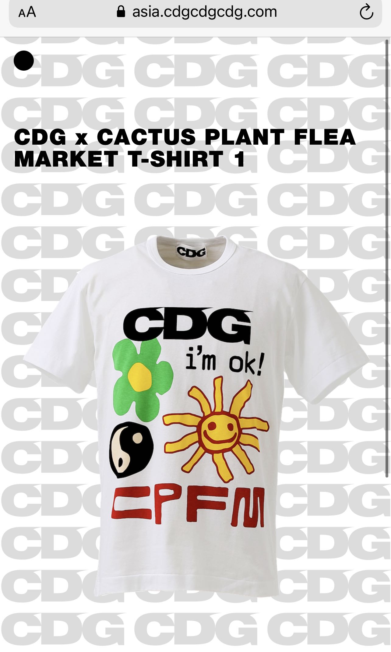 CDG x CPFM cactus plant flea market tee size XL 現貨, 男裝, 外套及