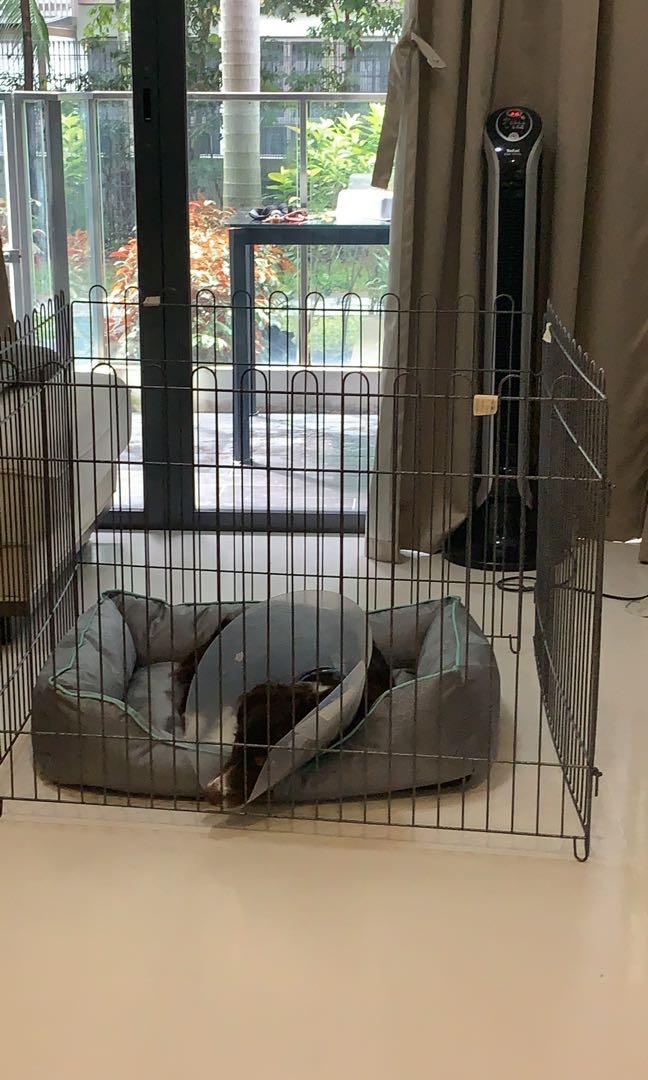 Dog fence , play pen, dog crate, Pet Supplies, For Dogs, Dog