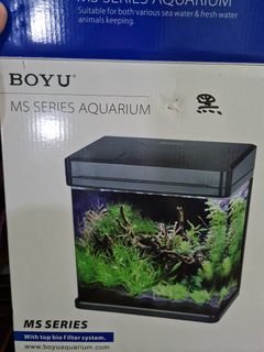 (Category: ) located in . Submitted by blue-green (Listing ID 1088281714, Image 1). Description: .
