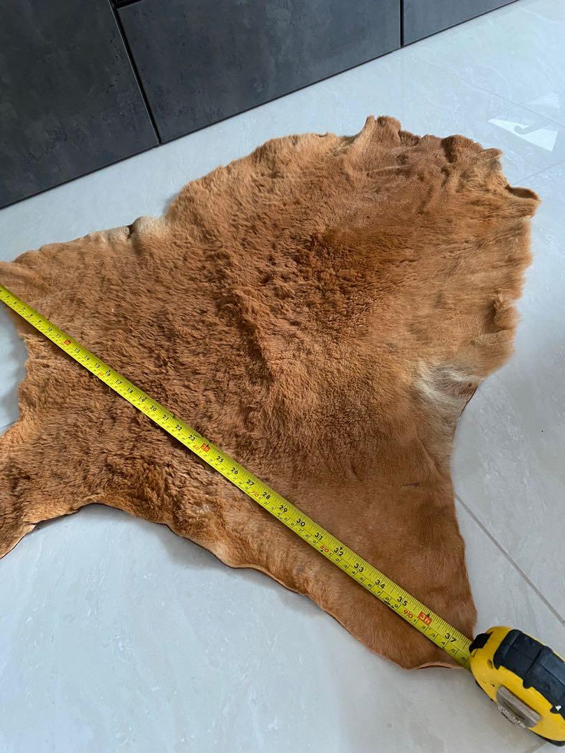 Large Kangaroo Skin Rug Hide, Furniture & Home Living, Home Decor