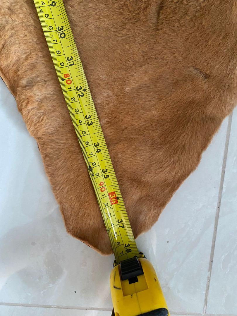 Large Kangaroo Skin Rug Hide, Furniture & Home Living, Home Decor