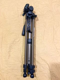 (Category: ) located in . Submitted by photowrap (Listing ID 1088231471, Image 1). Description: .