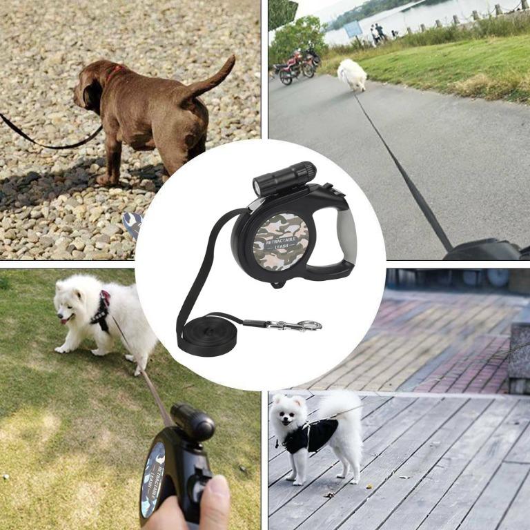 Retractable dog lead big w on sale