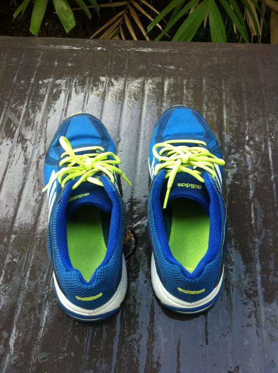 Adidas running shoes. Size US11 JP 290 CHN 280