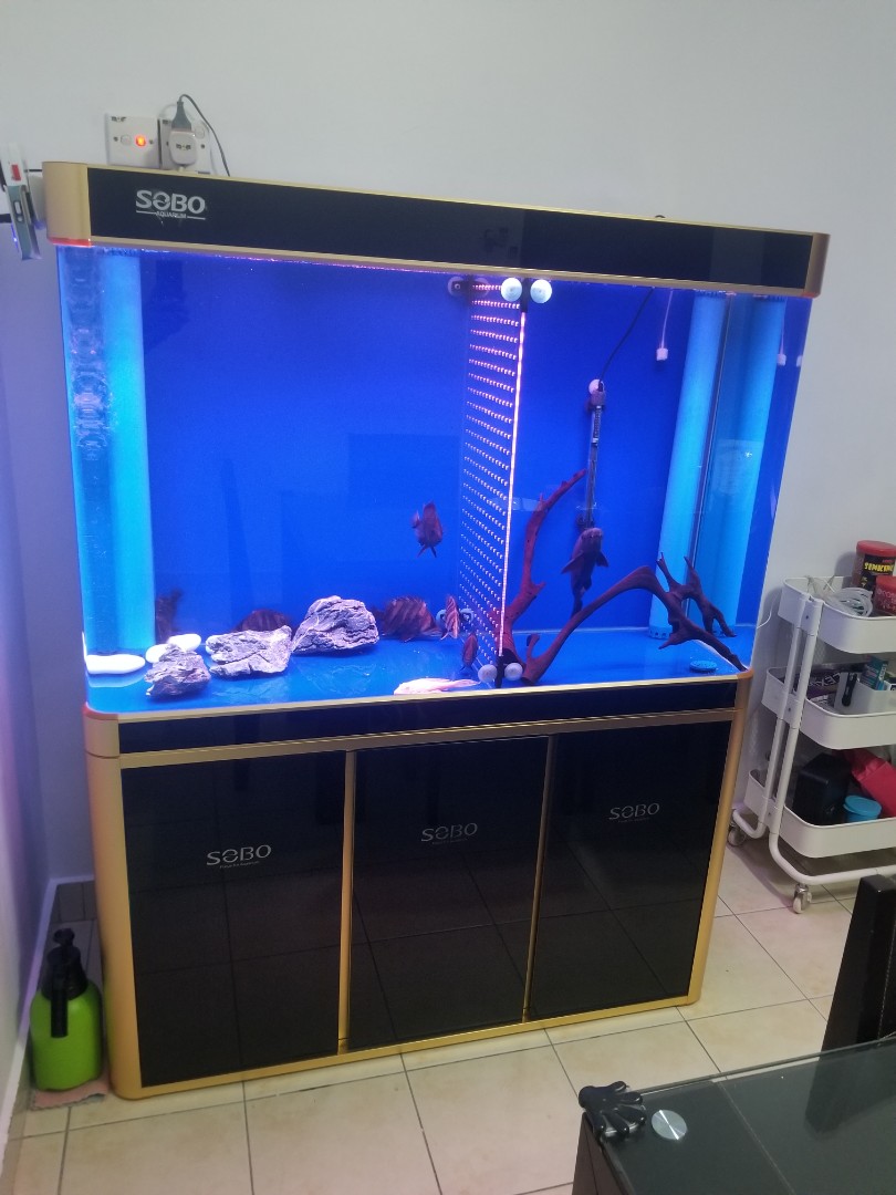 Sobo shop fish tank