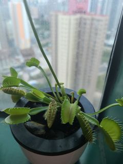 （分類：）位於 。 由 jane00006 提交（商品編號 1088325916，圖片 1）。簡介： 。