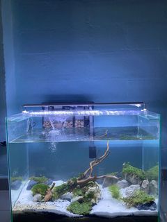 (Category: ) located in . Submitted by zai19963 (Listing ID 1088320393, Image 1). Description: .