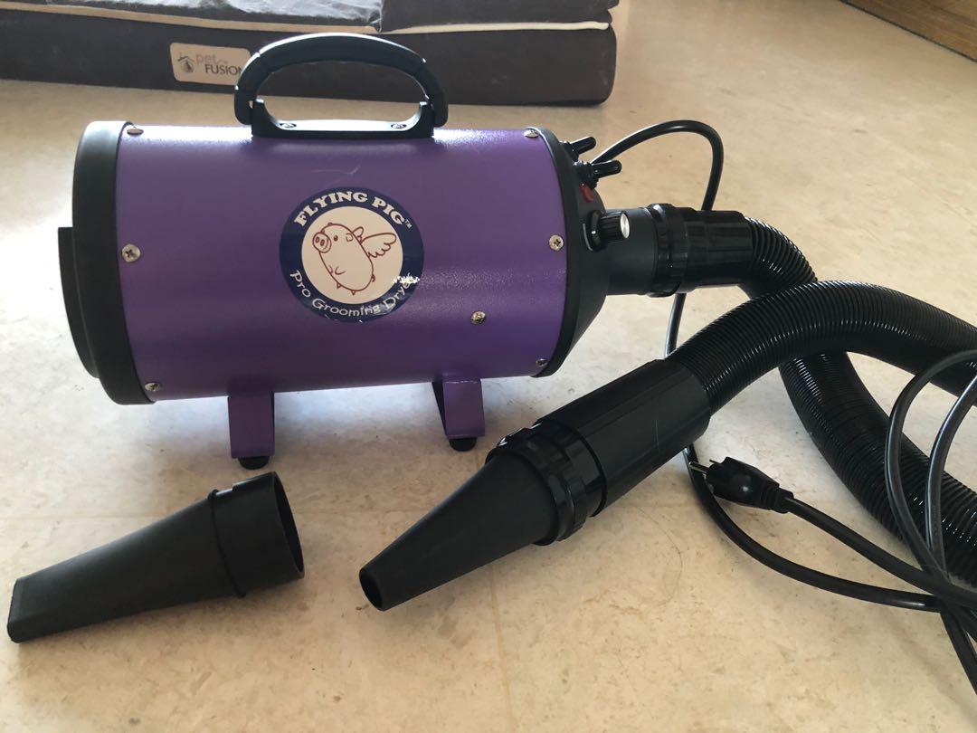 Flying pig flying one high velocity 4.0 Hp motor dog pet grooming