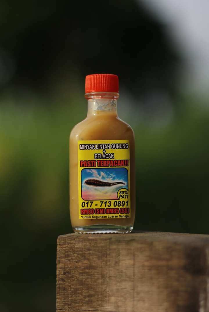 Minyak Lintah Belacak Health Beauty Skin Bath Body On Carousell