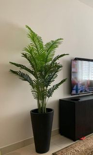 (Category: ) located in . Submitted by nfjohari (Listing ID 1088351883, Image 1). Description: .