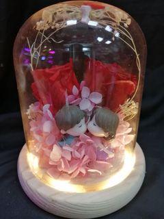 Preserved Roses In LED Dome