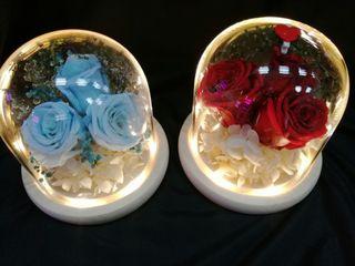 Preserved Roses LED Dome