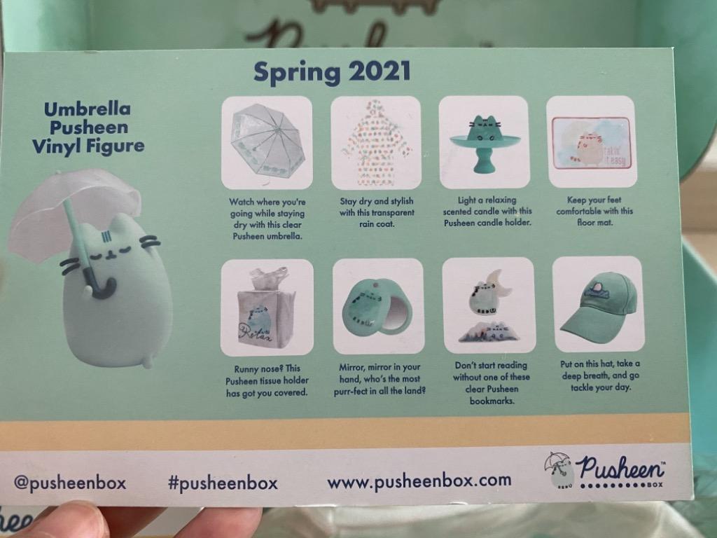 Pusheen Spring Box 2022