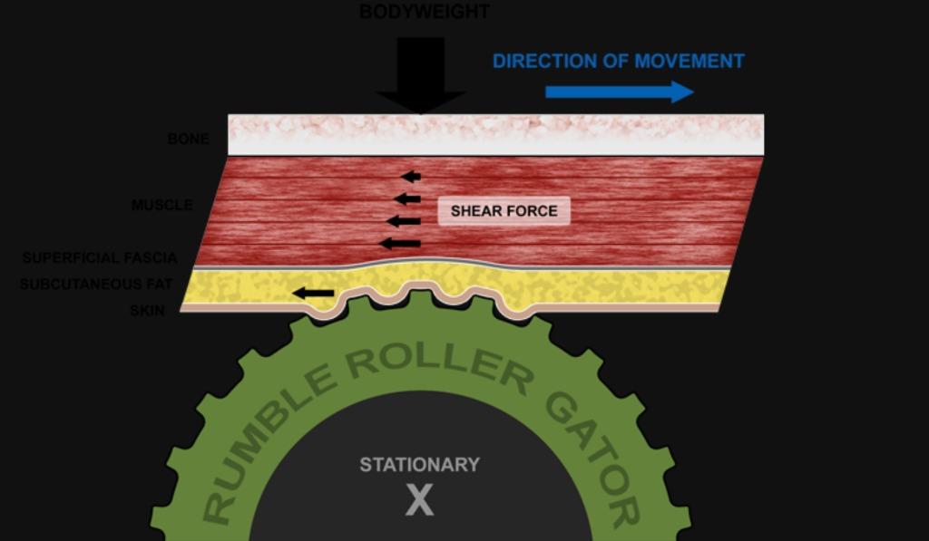 RumbleRoller Gator Foam Roller, Sports Equipment, Exercise & Fitness