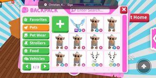 Adopt Me Pets Frost Giraffe Shadow Bat Dragon Parrot Owl
