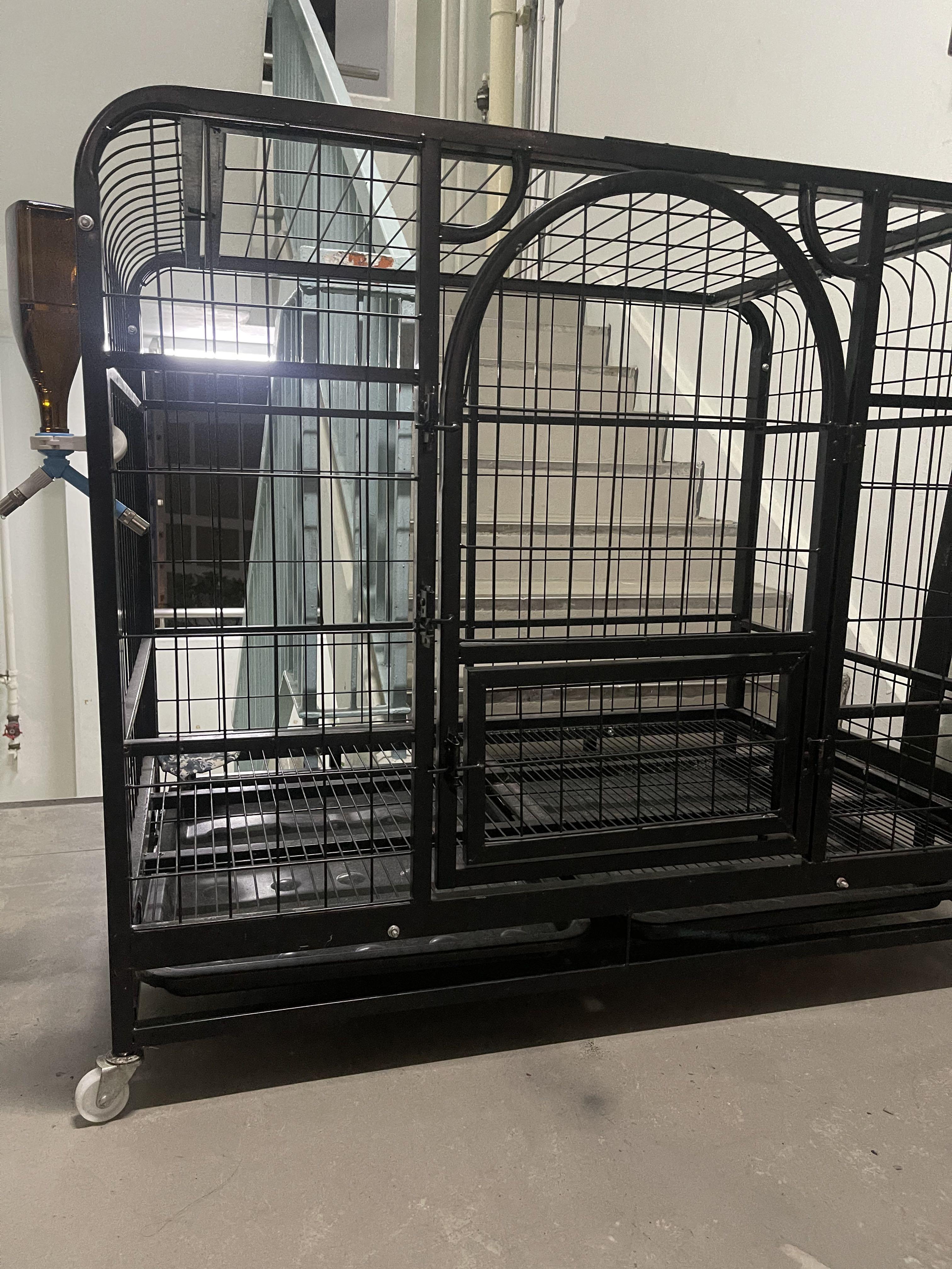 Big dog Cage, Pet Supplies, Homes & Other Pet Accessories on Carousell