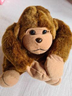 Saddest monkey i ever seen