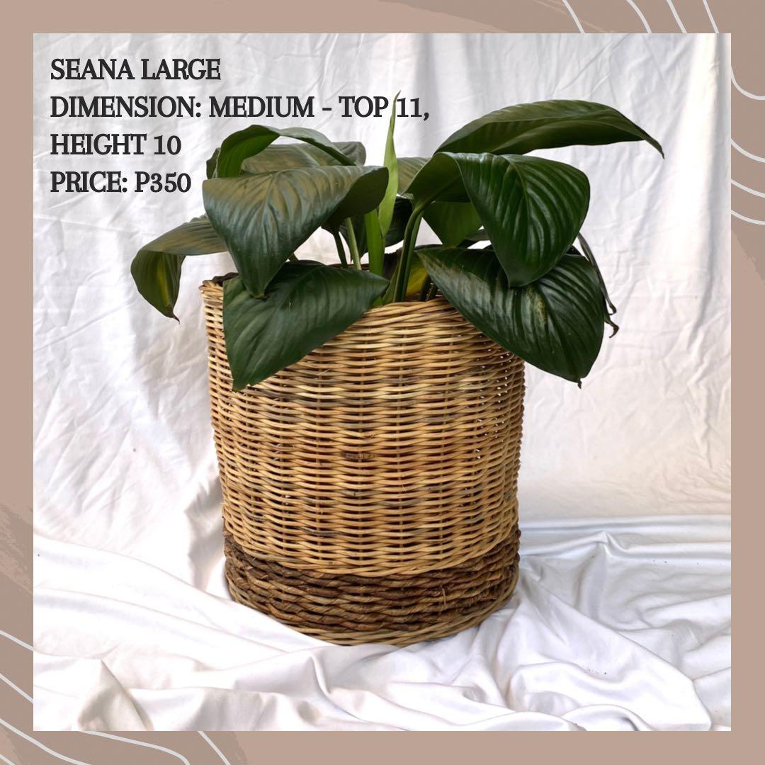 seana large rattan pot, Furniture & Home Living, Gardening, Pots ...