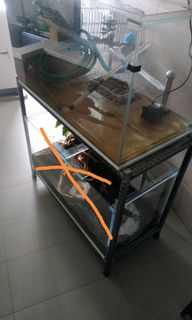 (Category: ) located in . Submitted by jeffzas (Listing ID 1085127773, Image 1). Description: .