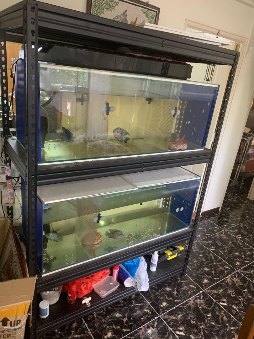 4 feet fish tank, Pet Supplies, Homes & Other Pet Accessories on Carousell