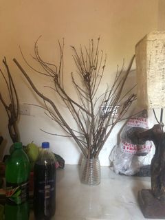 (Category: ) located in . Submitted by casambhomedecors (Listing ID 1085207178, Image 1). Description: .