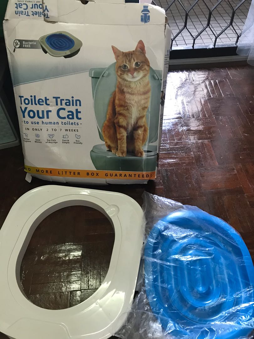 Cat toilet train to use human toilet, Pet Supplies, Homes & Other Pet