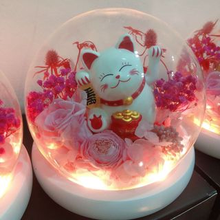 (Category: ) located in . Submitted by everlove_sg (Listing ID 1085238709, Image 1). Description: .