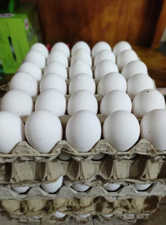 Fresh Eggs Jumbo 30pcs per tray (Category: Fresh Produce) located in Manila. Submitted by rotalie (Listing ID 1085271445, Image 1). Description: #inManila #inQC #inMandaluyong #inMakati #inTaguig #inPasig #inMarikina #inCainta #inAntipolo Delivery thru Lalamove or Grab express c/o buyer from Sampaloc Manila. Payment via bank transfer or GCash before shipping :) For further inquiries, pls call us 09153264002 :) .