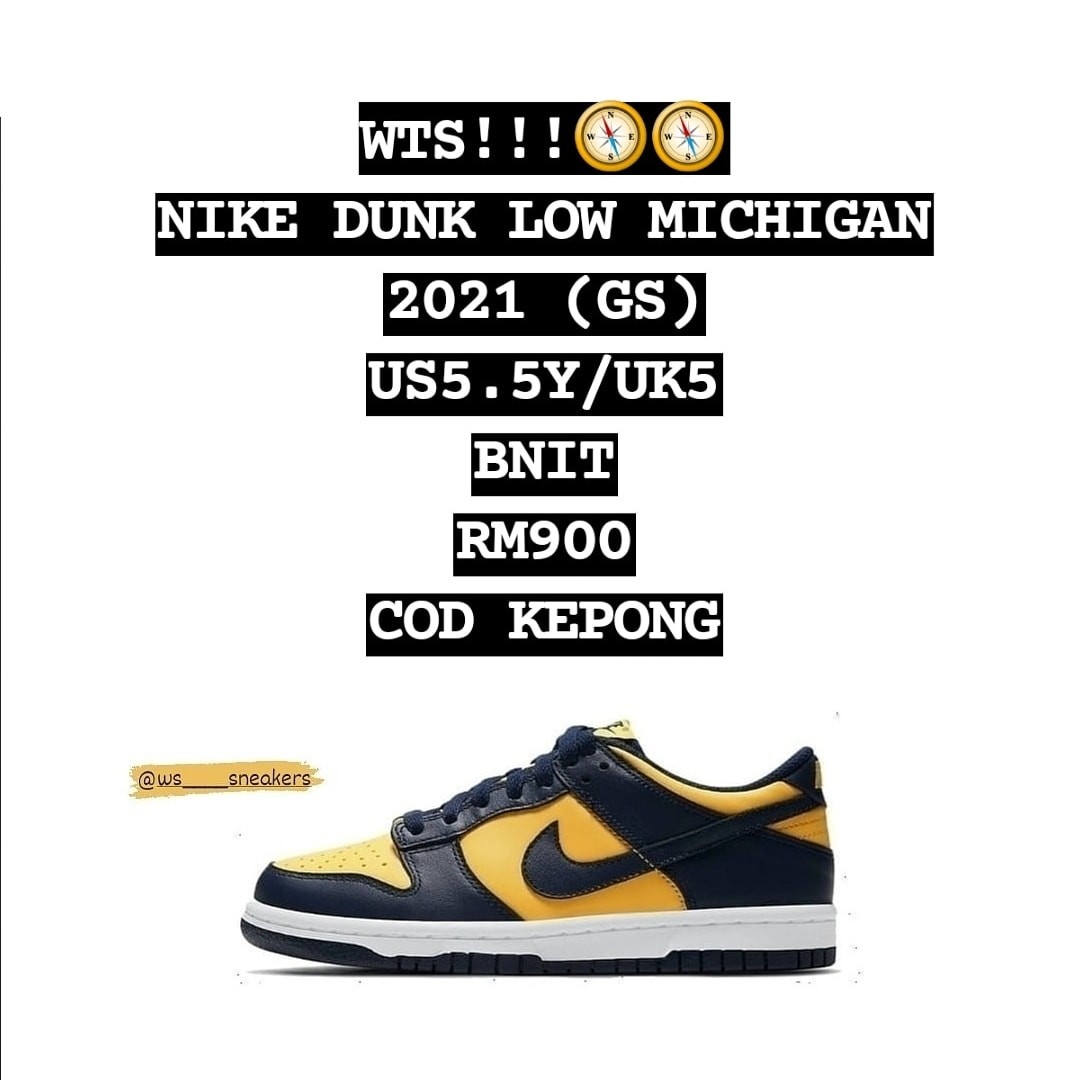 gs michigan dunks