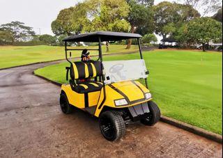 2-seater Electric Golf Cart (48 volts)