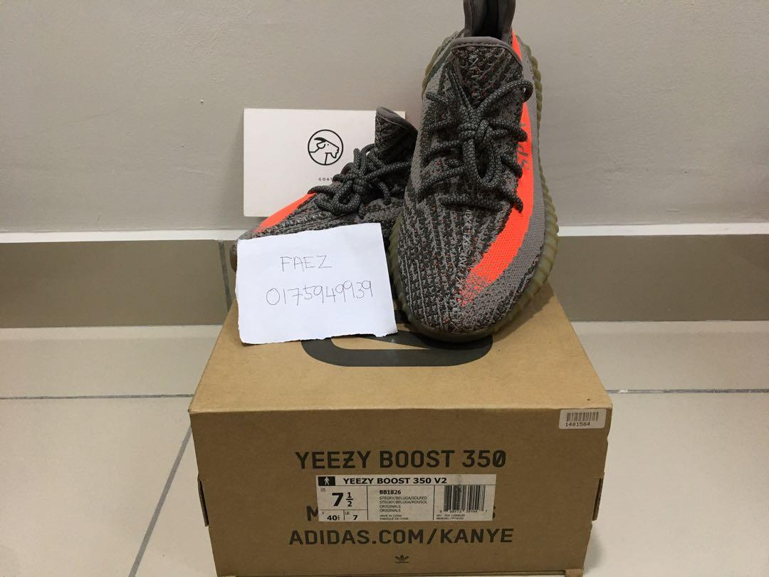 beluga v1
