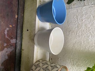 (Category: ) located in . Submitted by j_simps (Listing ID 1088839236, Image 1). Description: .