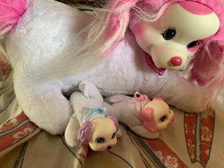 (Category: ) located in . Submitted by tuksie (Listing ID 1088726414, Image 1). Description: .