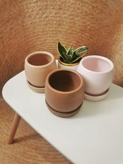Quality Clay Terracotta Pots (in 14 colors and many sizes!)