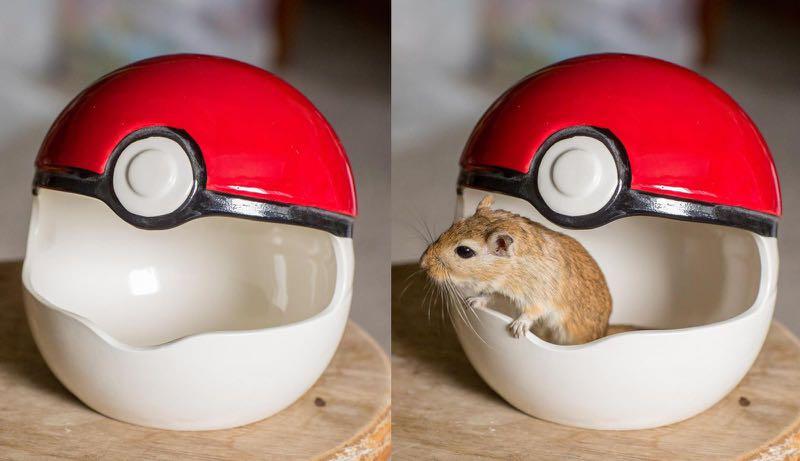 Red Pokeball ceramic hideout hamster, Pet Supplies, Homes Other