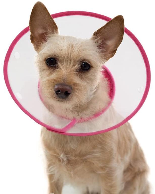 Vivifying pet cone top