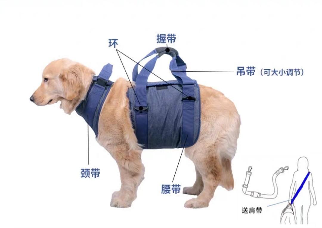 大型犬隻老犬輔助帶斜孭帶大狗用粉紅色 寵物用品 寵物衣服 Carousell