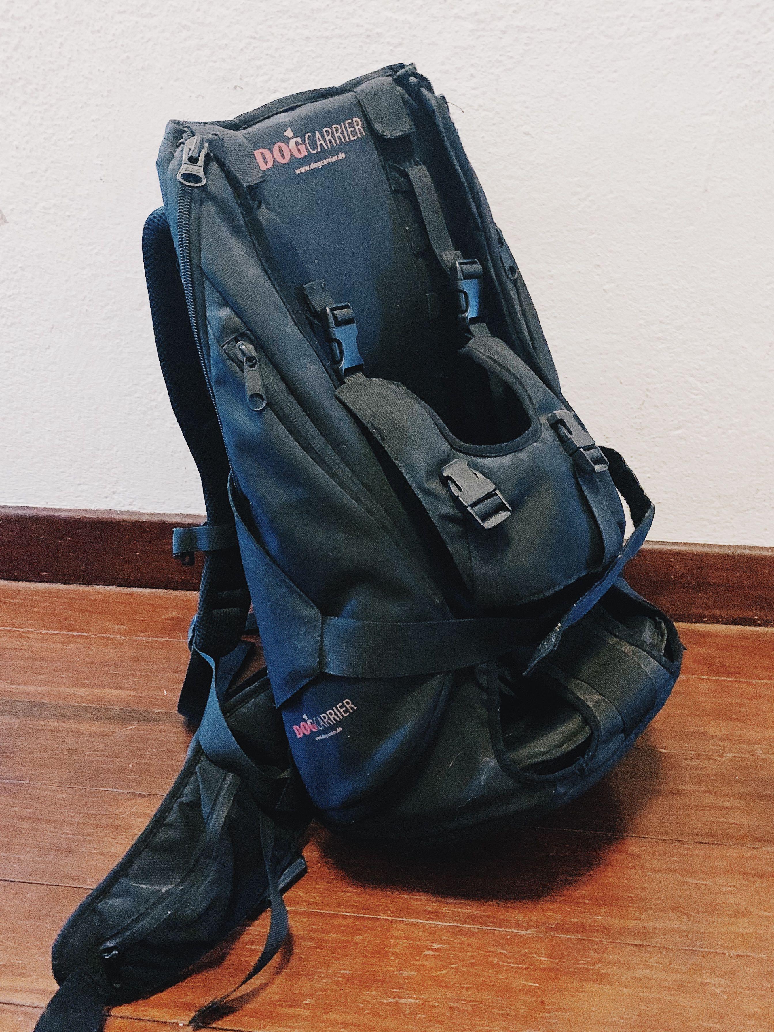 medium sized dog backpack carrier