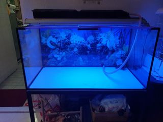 (Category: ) located in . Submitted by lucidmelon (Listing ID 1089077282, Image 1). Description: .