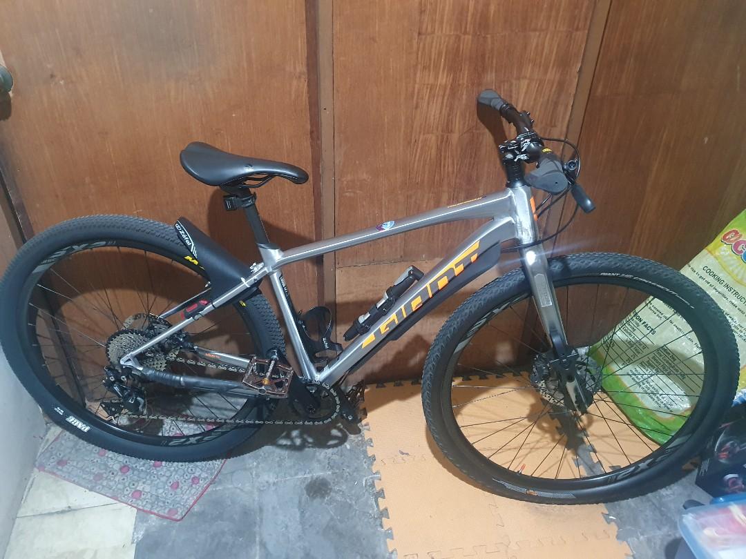 trek toughroad